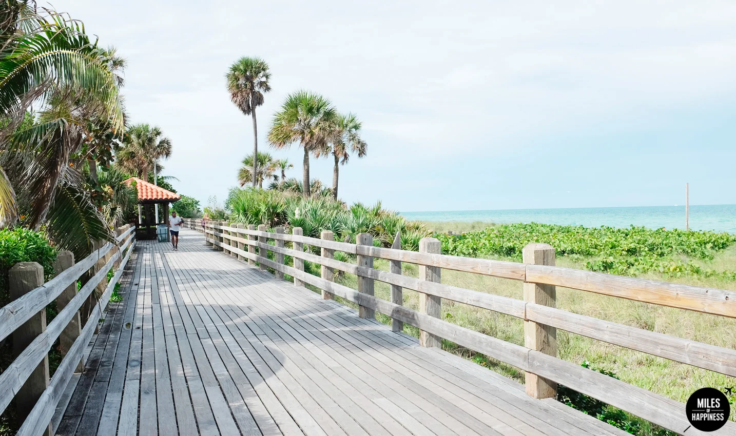 10 things that will make you LOVE Miami !