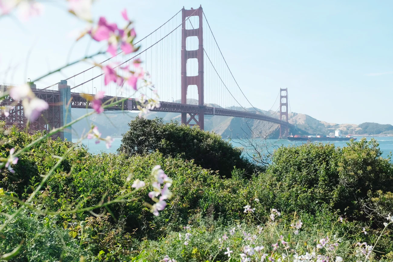 California Love : Quick Guide to San Francisco