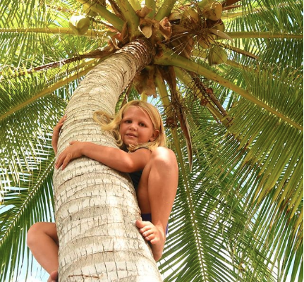 Capture d’écran 2018-10-16 à 21.52.56.png