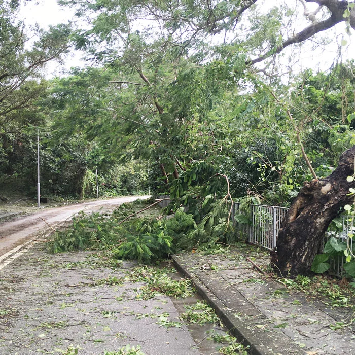 When everything goes wrong : the best of our worst travel moments