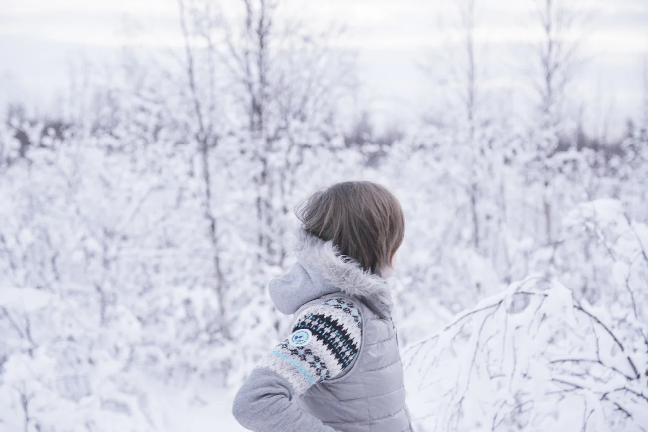 Lapland : a journey into Finland's frozen beauty