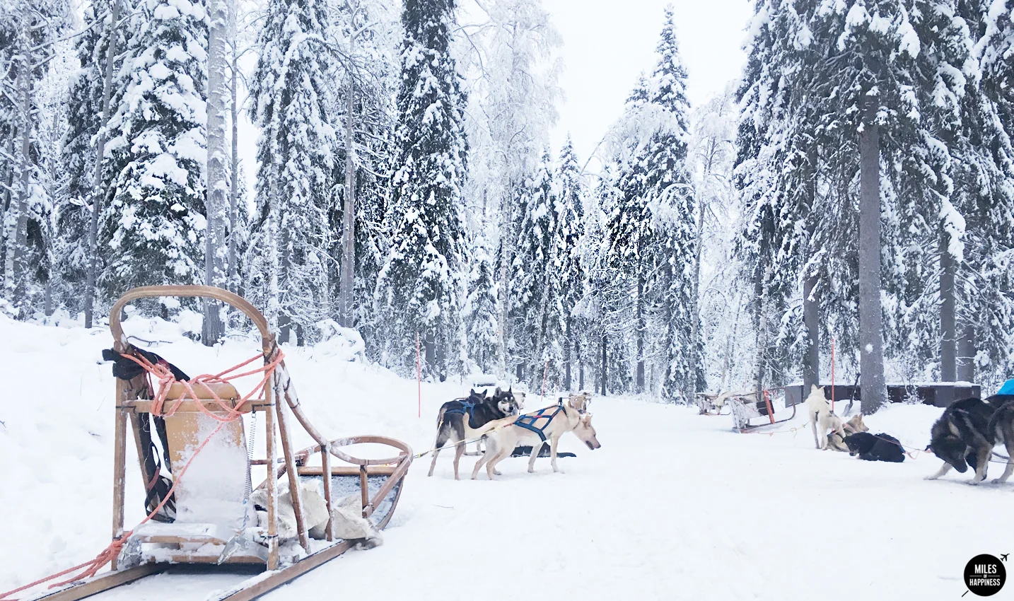 Lapland: A journey into Finland's frozen beauty