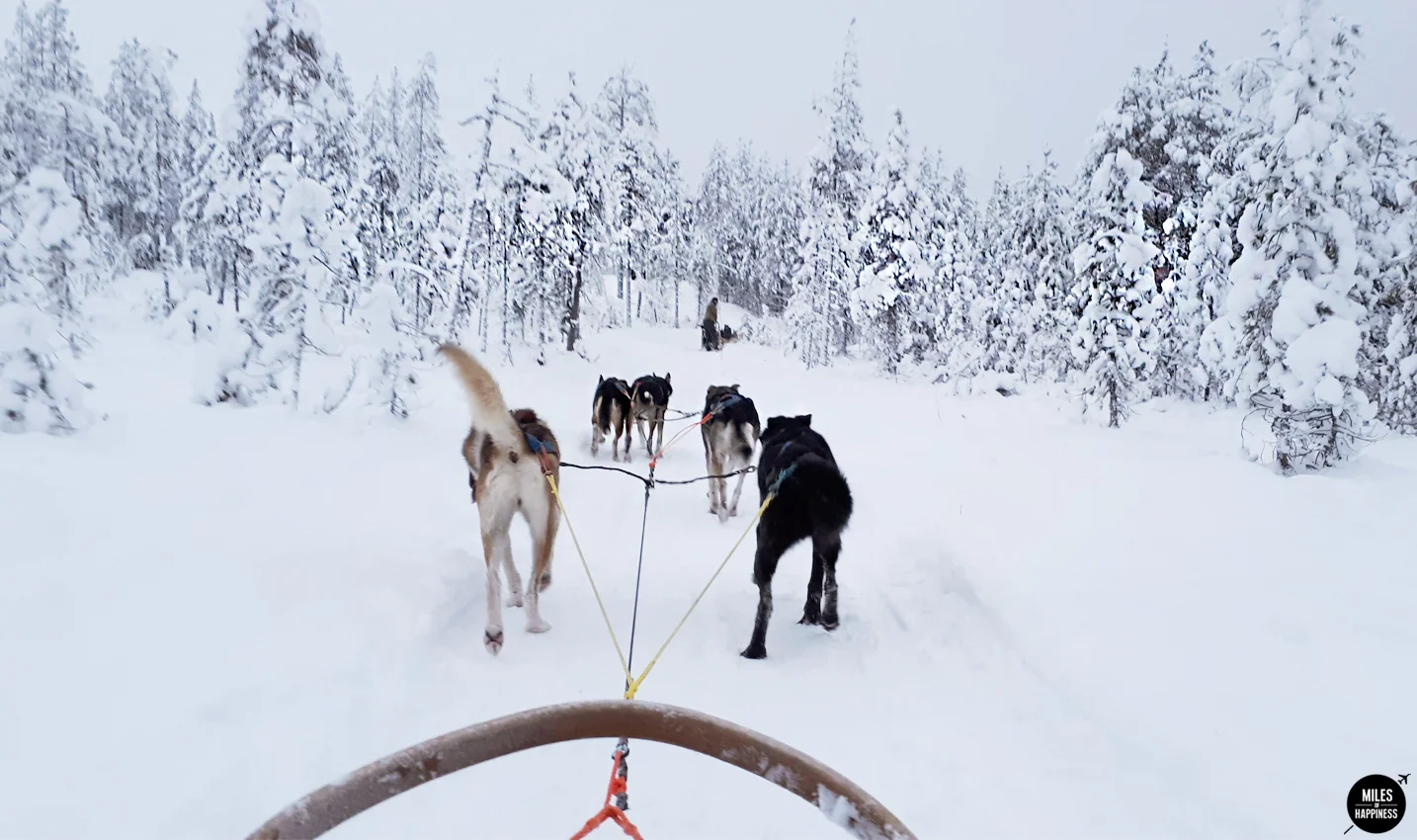 Lapland: A journey into Finland's frozen beauty