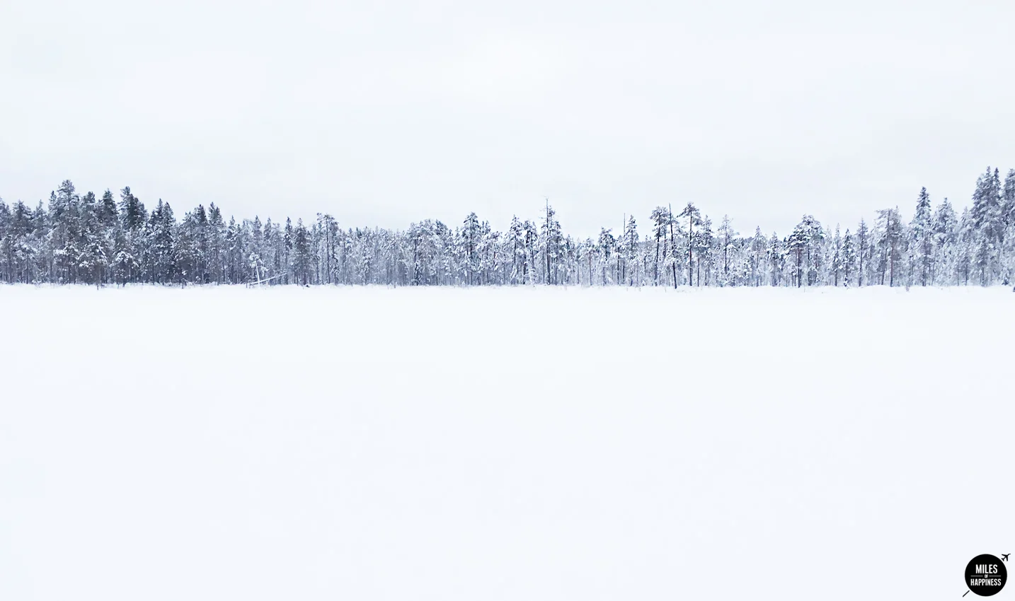 Lapland: A journey into Finland's frozen beauty