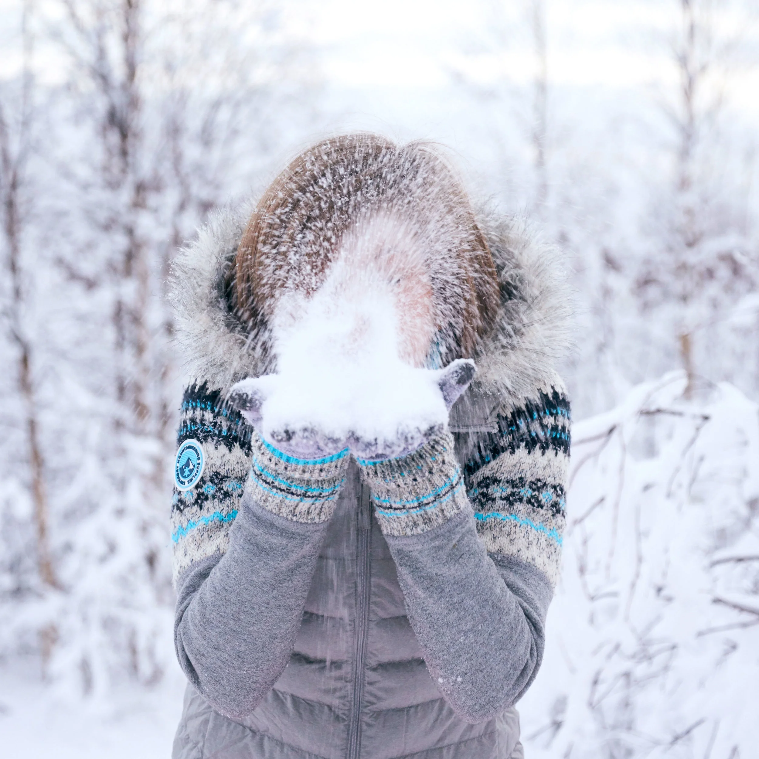 Lapland: A journey into Finland's frozen beauty