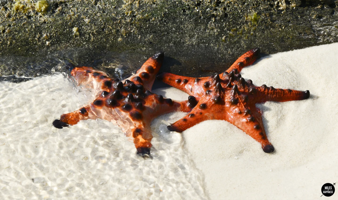 Paradise found : discovering Phu Quoc