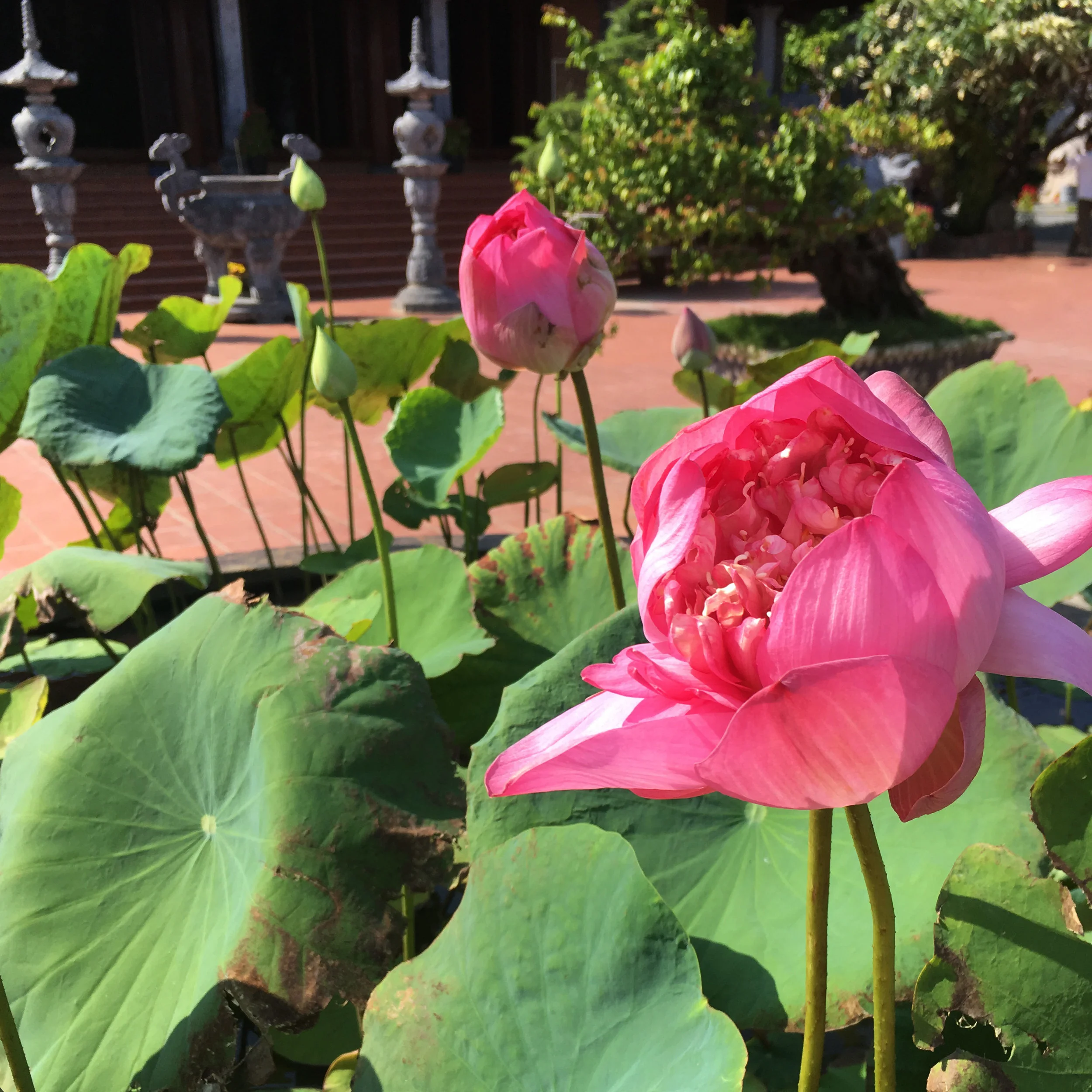 Paradise found : discovering Phu Quoc