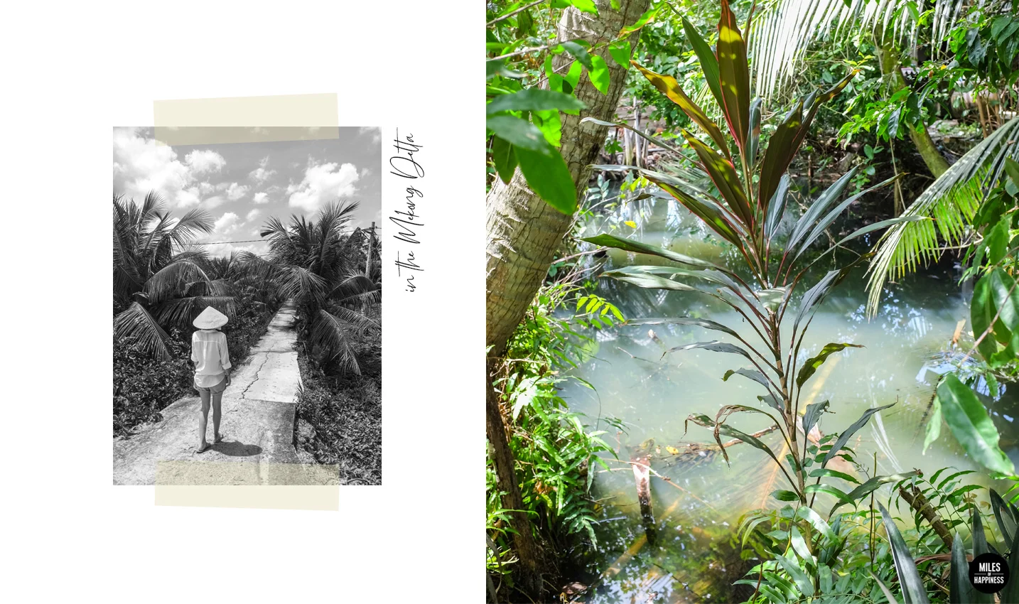 Lost in the Mekong Delta