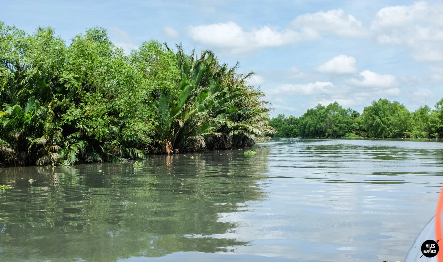 Lost in the Mekong Delta