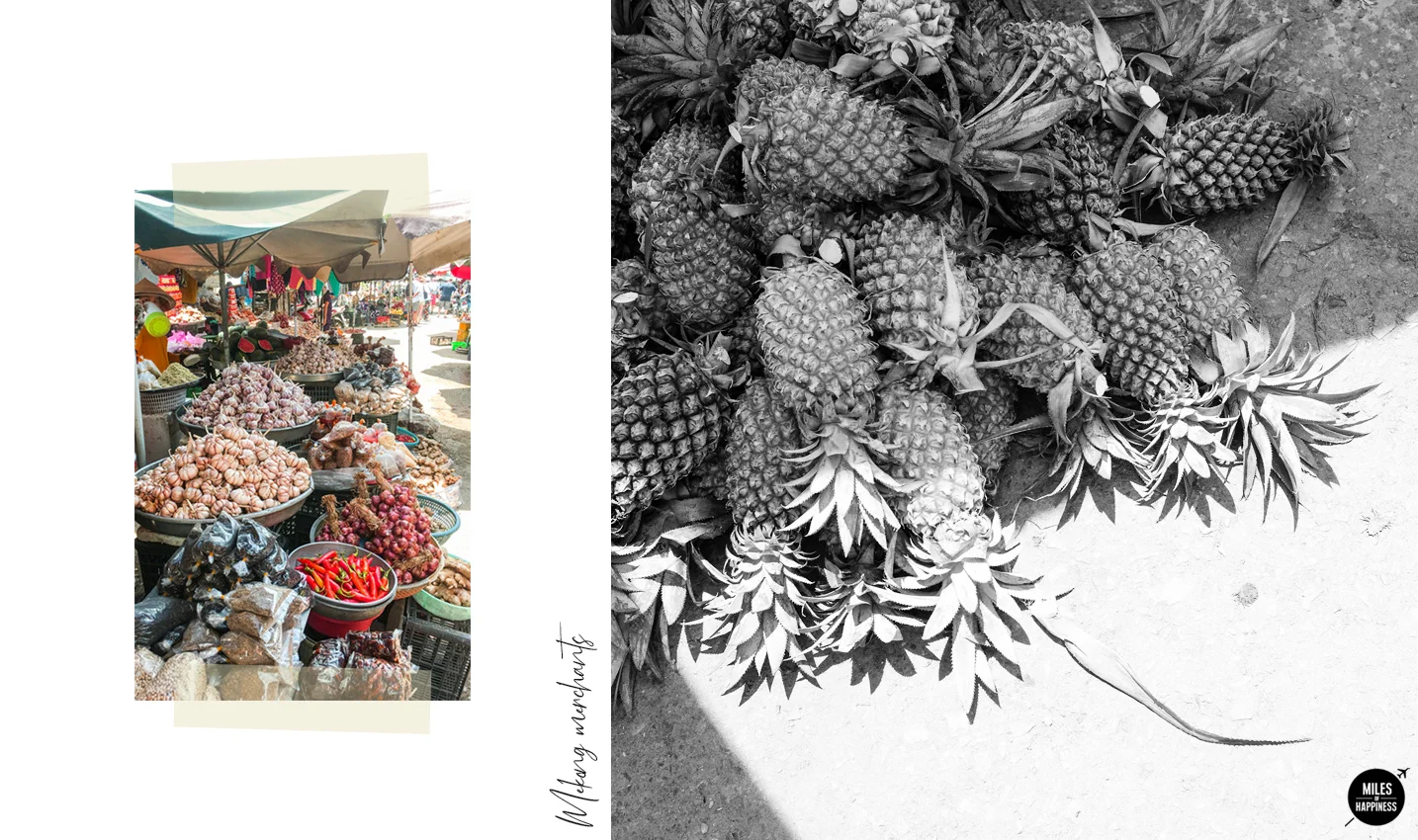 Lost in the Mekong Delta