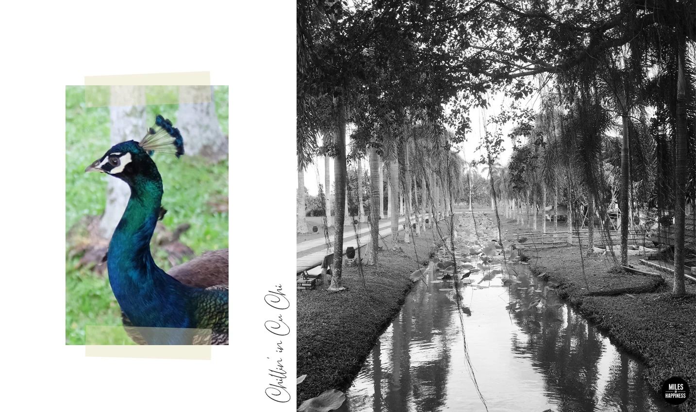 Weekend trip from Saigon : Chillin' in Cu Chi