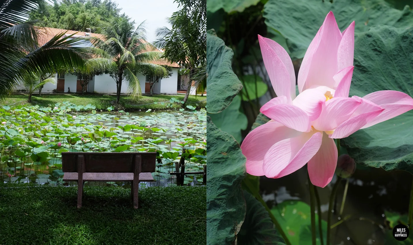 Weekend trip from Saigon : Chillin' in Cu Chi