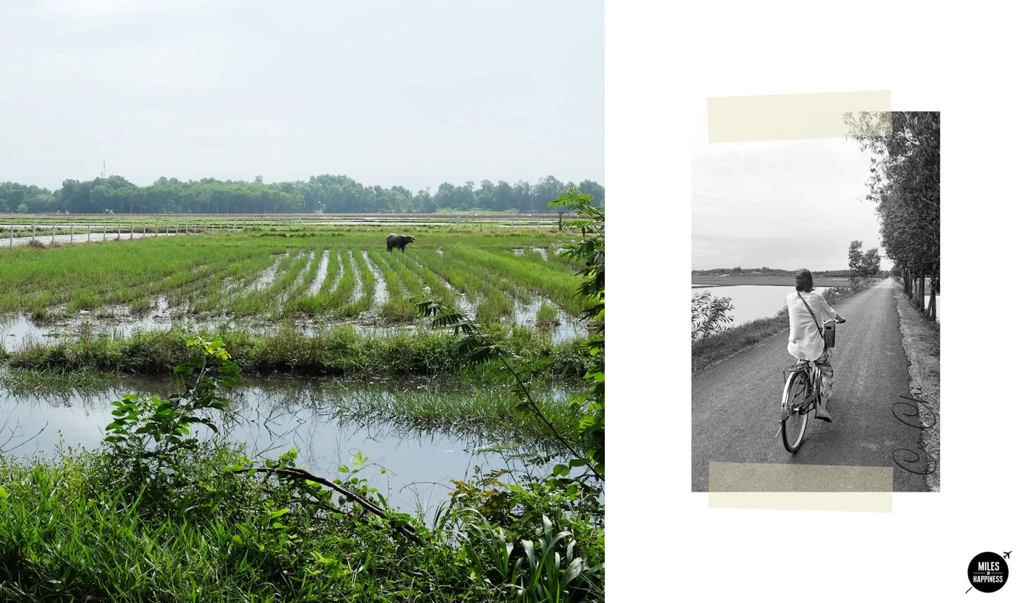 Weekend trip from Saigon : Chillin' in Cu Chi