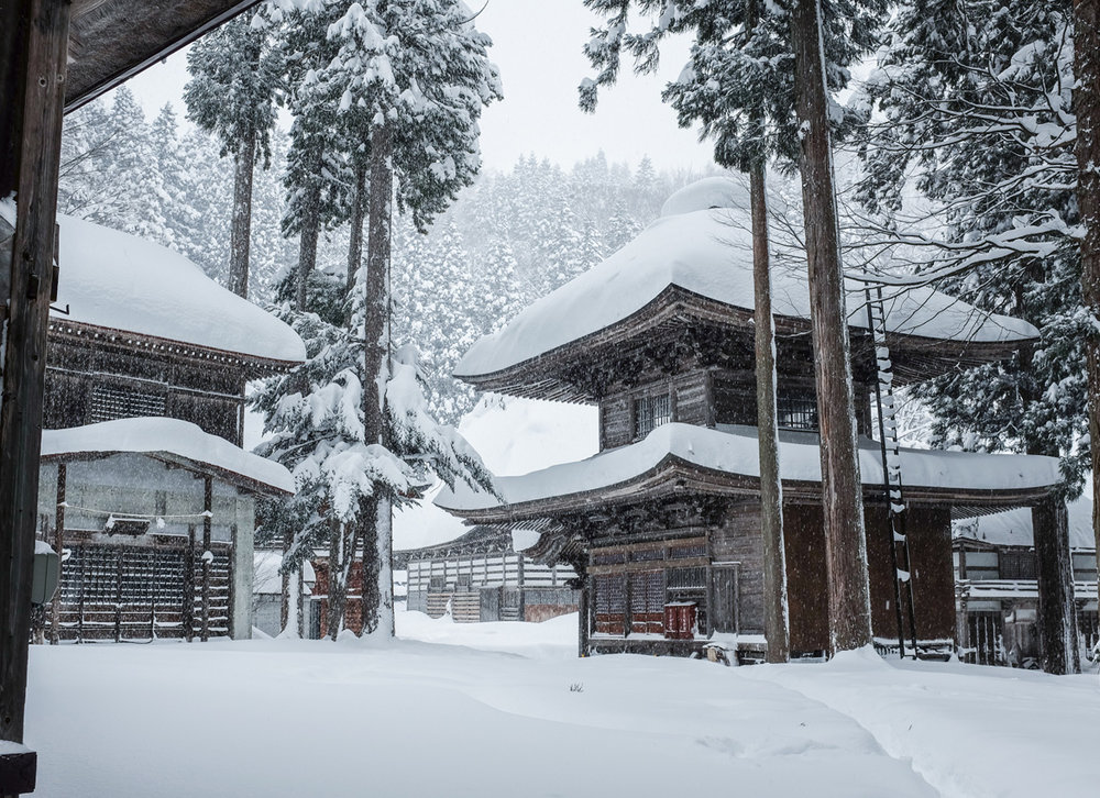 Our top 20 experiences in Asia : Powder hunt in Honshu, Japan
