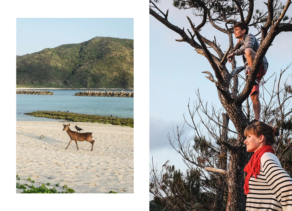 Our top 20 experiences in Asia : Bicycle in the Kerama Islands, Japan