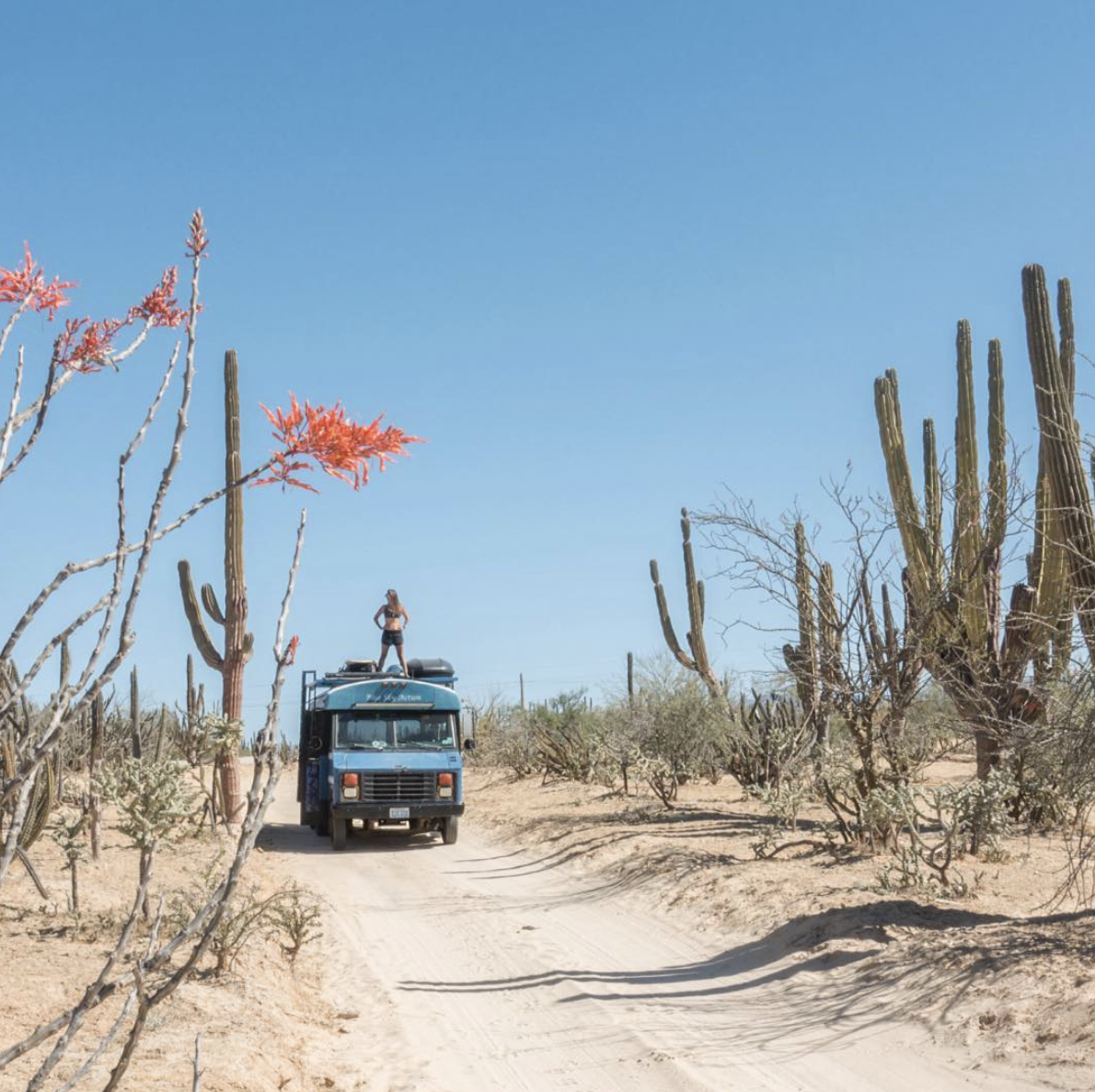 10 travellers who will make you want to live on the road