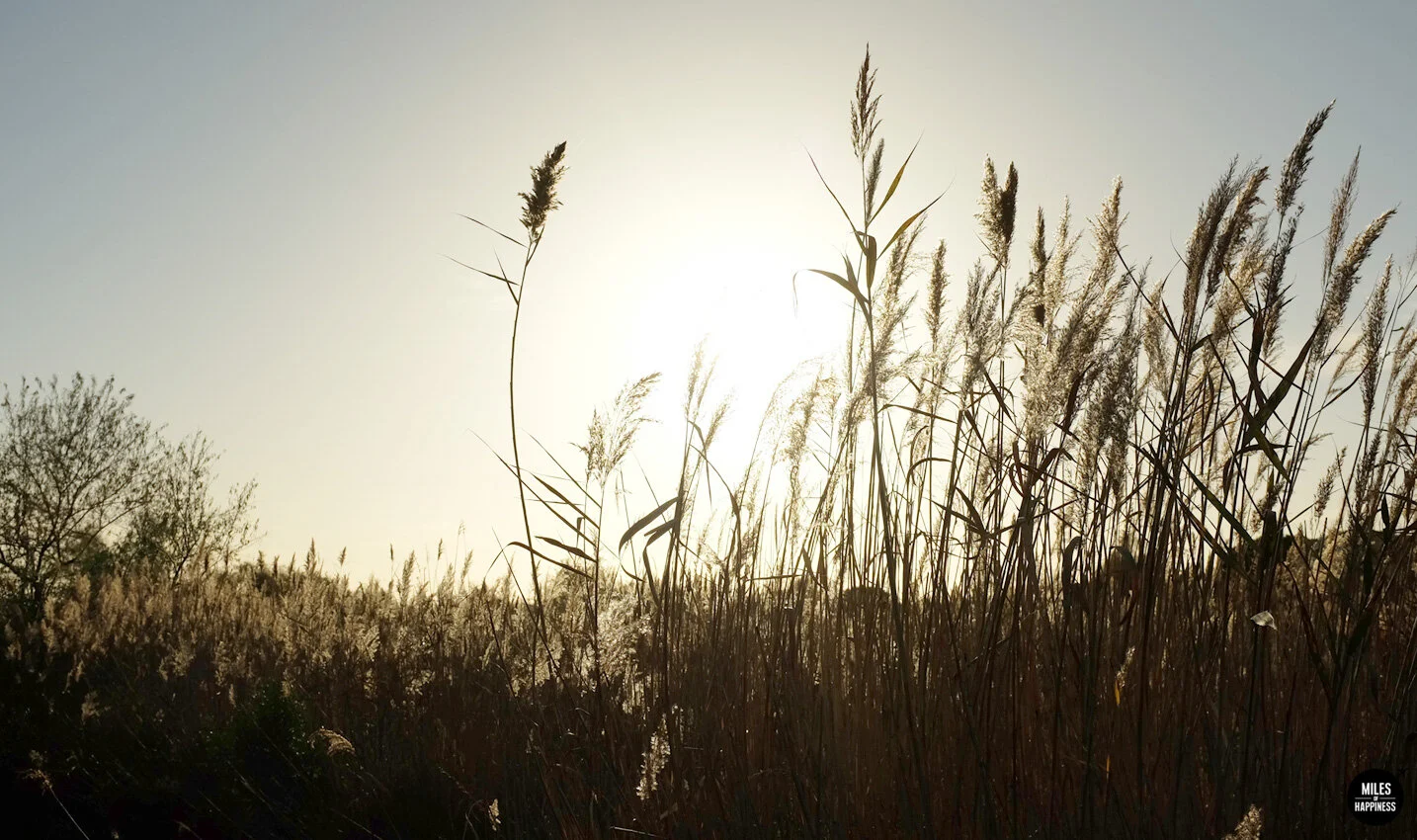 On s'installe en France [après 8 ans sur la route]