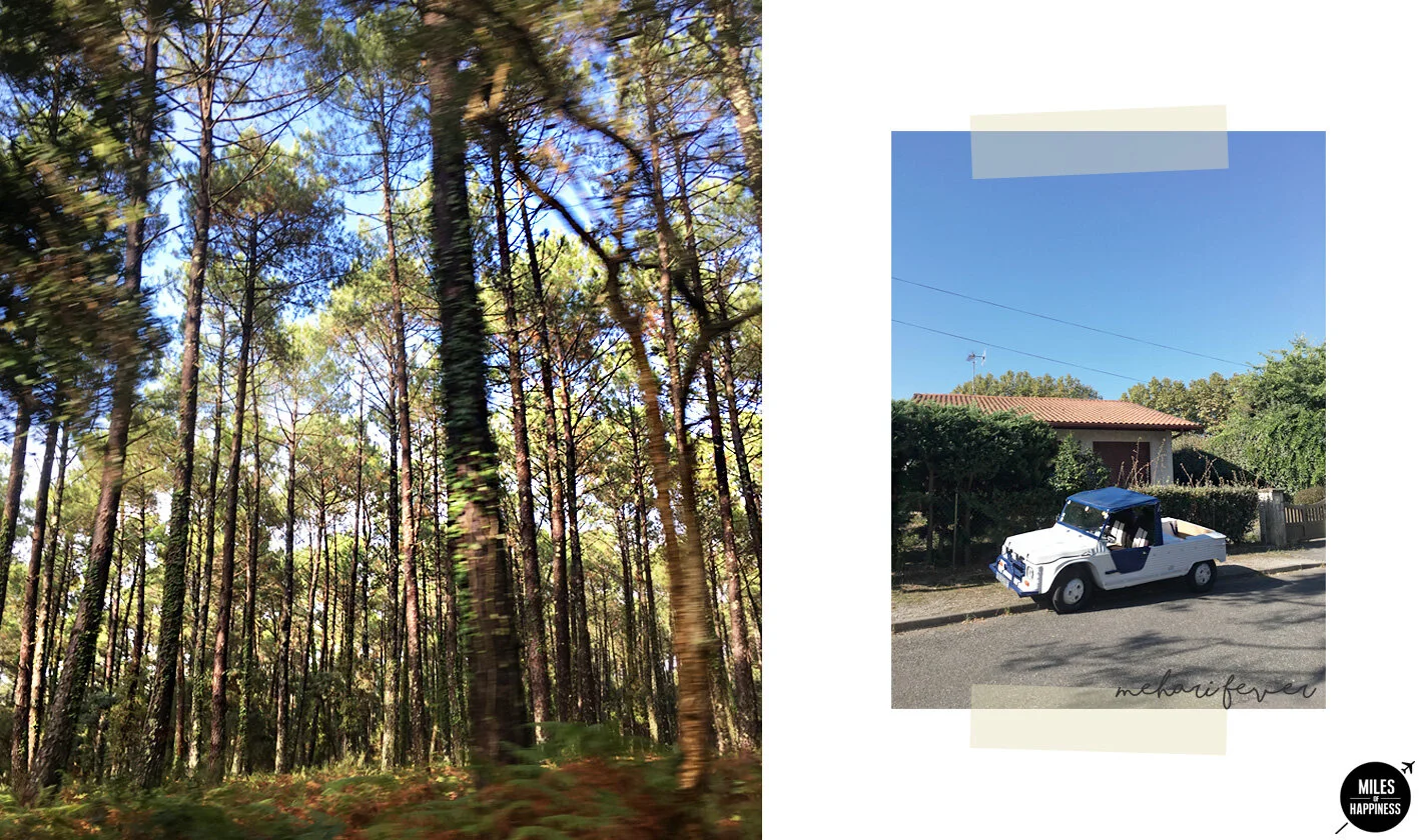 On s'installe dans le Sud Ouest !