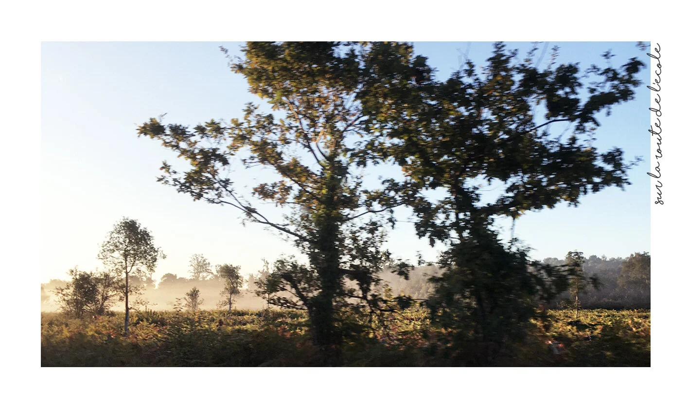 On s'installe dans le Sud Ouest !