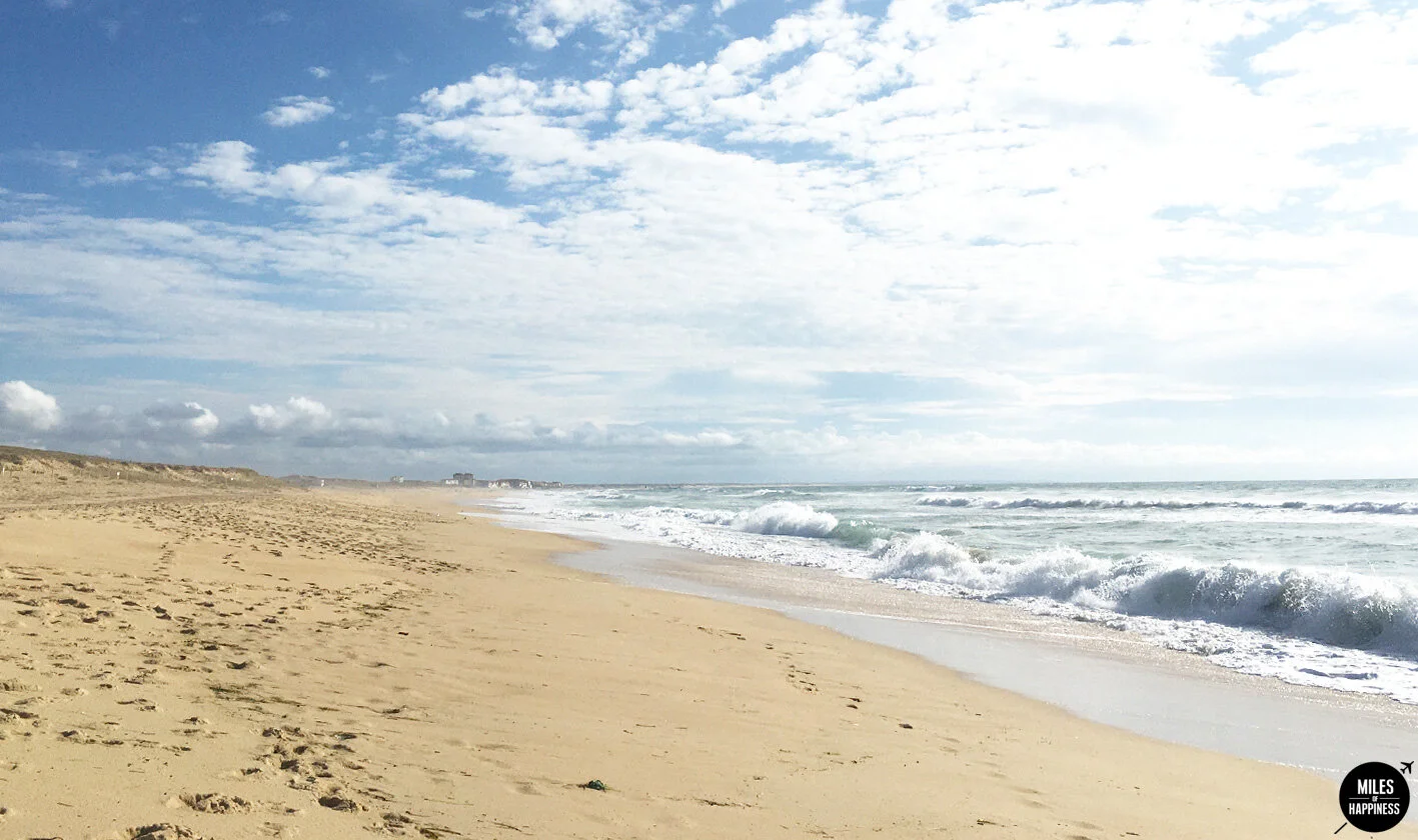 On s'installe dans le Sud Ouest !