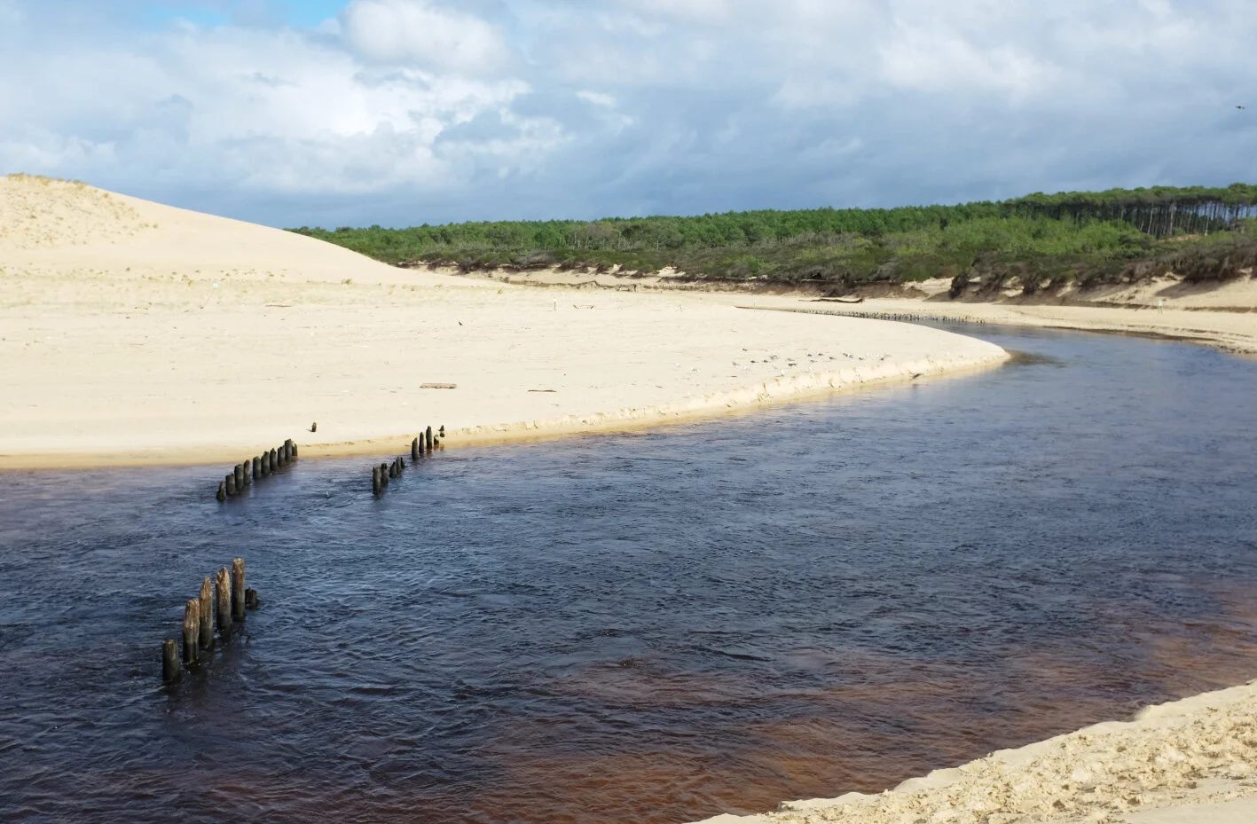  Itinerary for a week in the Landes : what to do in 7 days in Southwest France