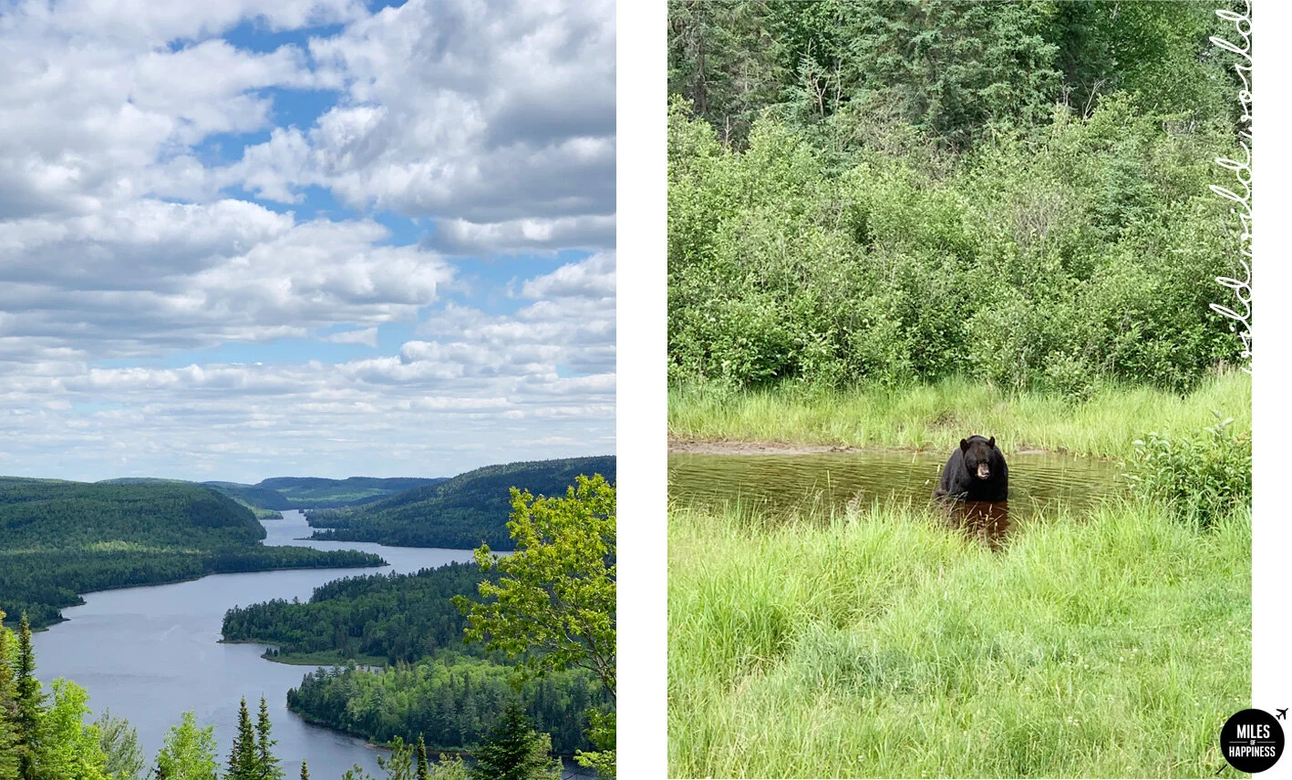 CANADA_photos-5.jpg#EXPATSERIES : Leaving everything behind to move to Quebec