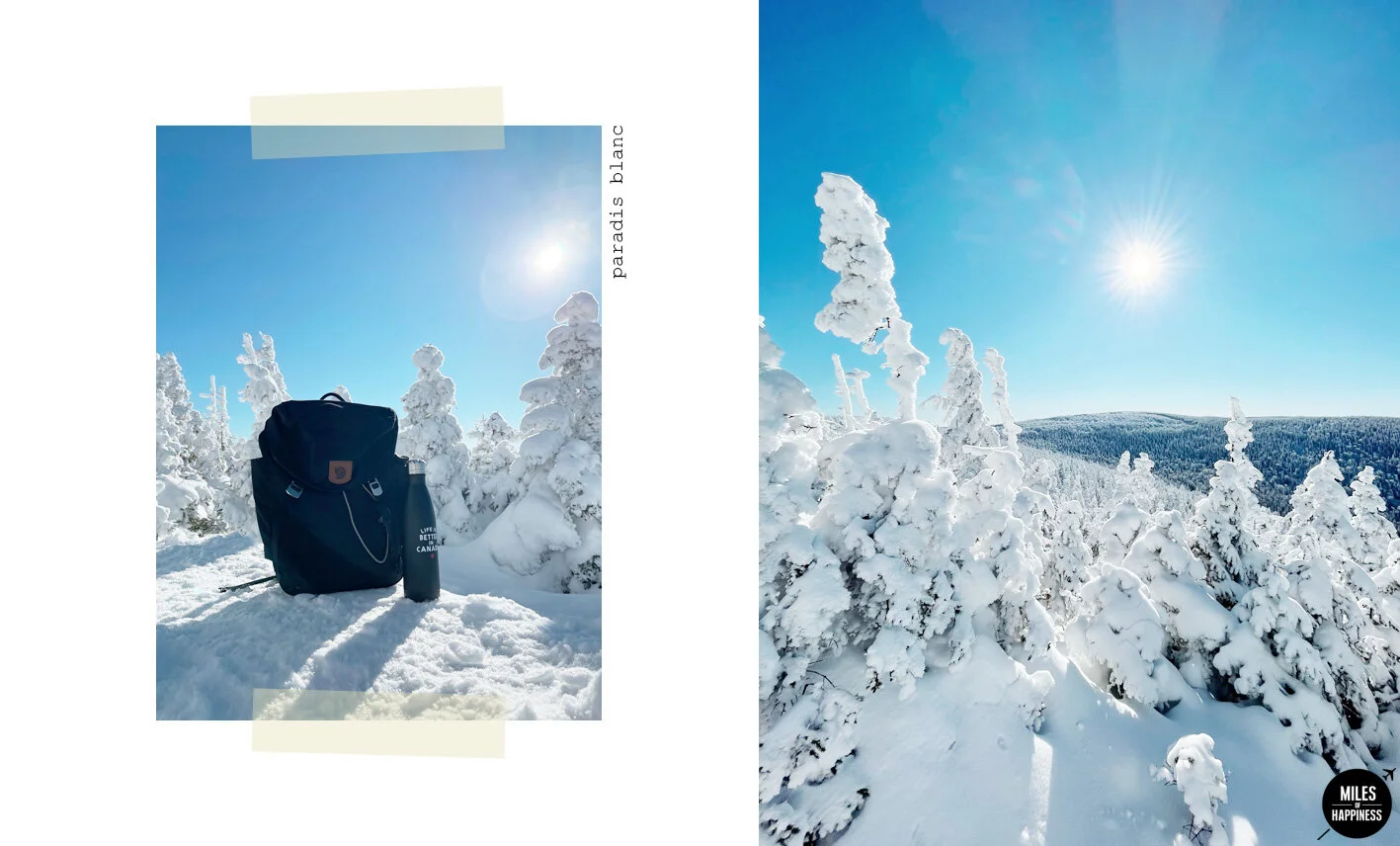 #EXPATSERIES Expatriation au Quebec