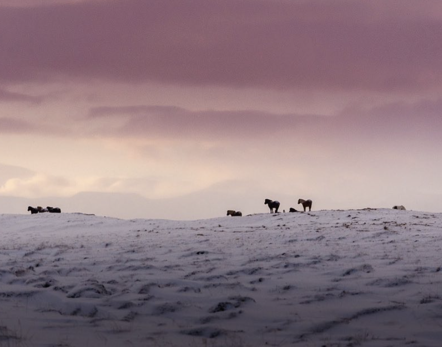 Screenshot 2021-05-09 at 15.21.47.png