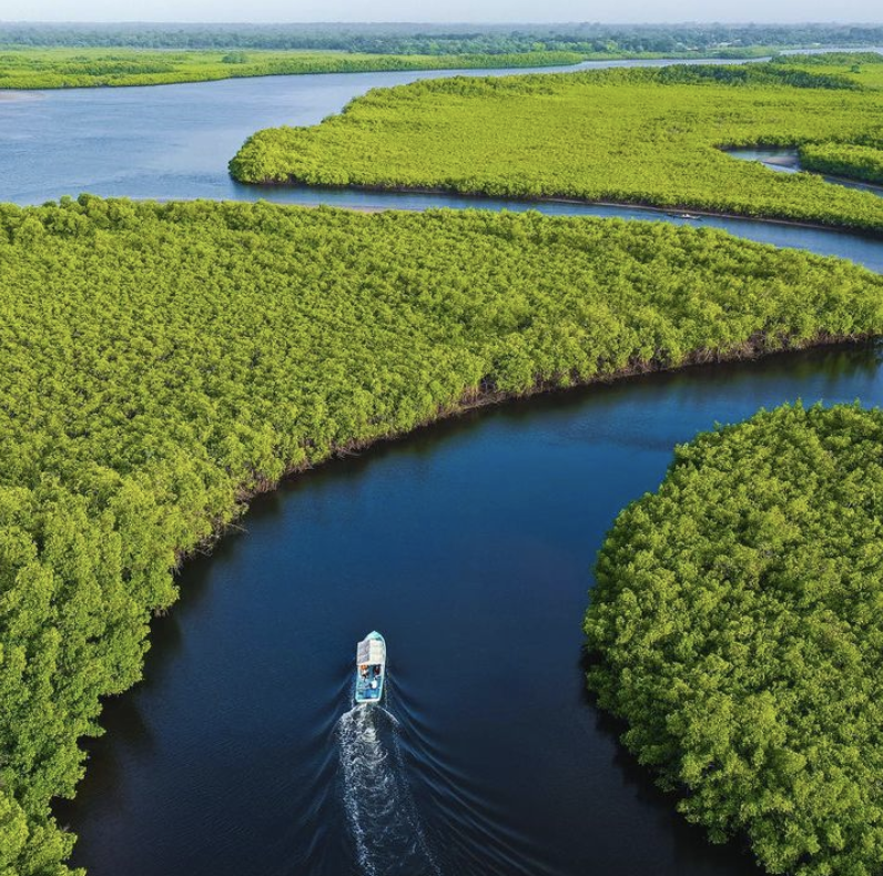 Screenshot 2021-07-01 at 13.23.15.png