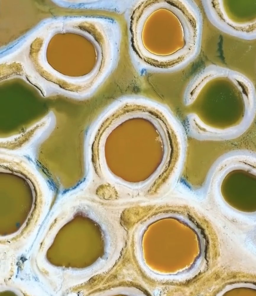 Screenshot 2021-07-01 at 13.35.42.png