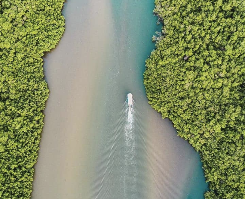 Screenshot 2021-07-01 at 13.36.13.png