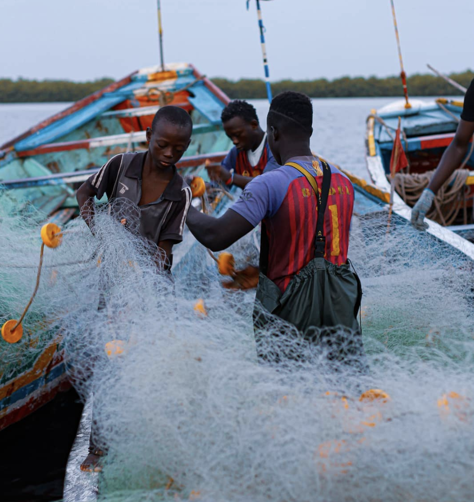 Screenshot 2021-07-01 at 14.20.57.png