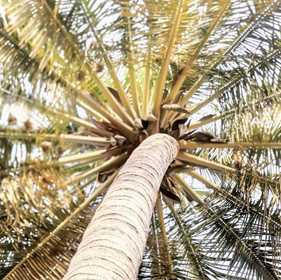 Screenshot 2021-07-09 at 14.42.13.png