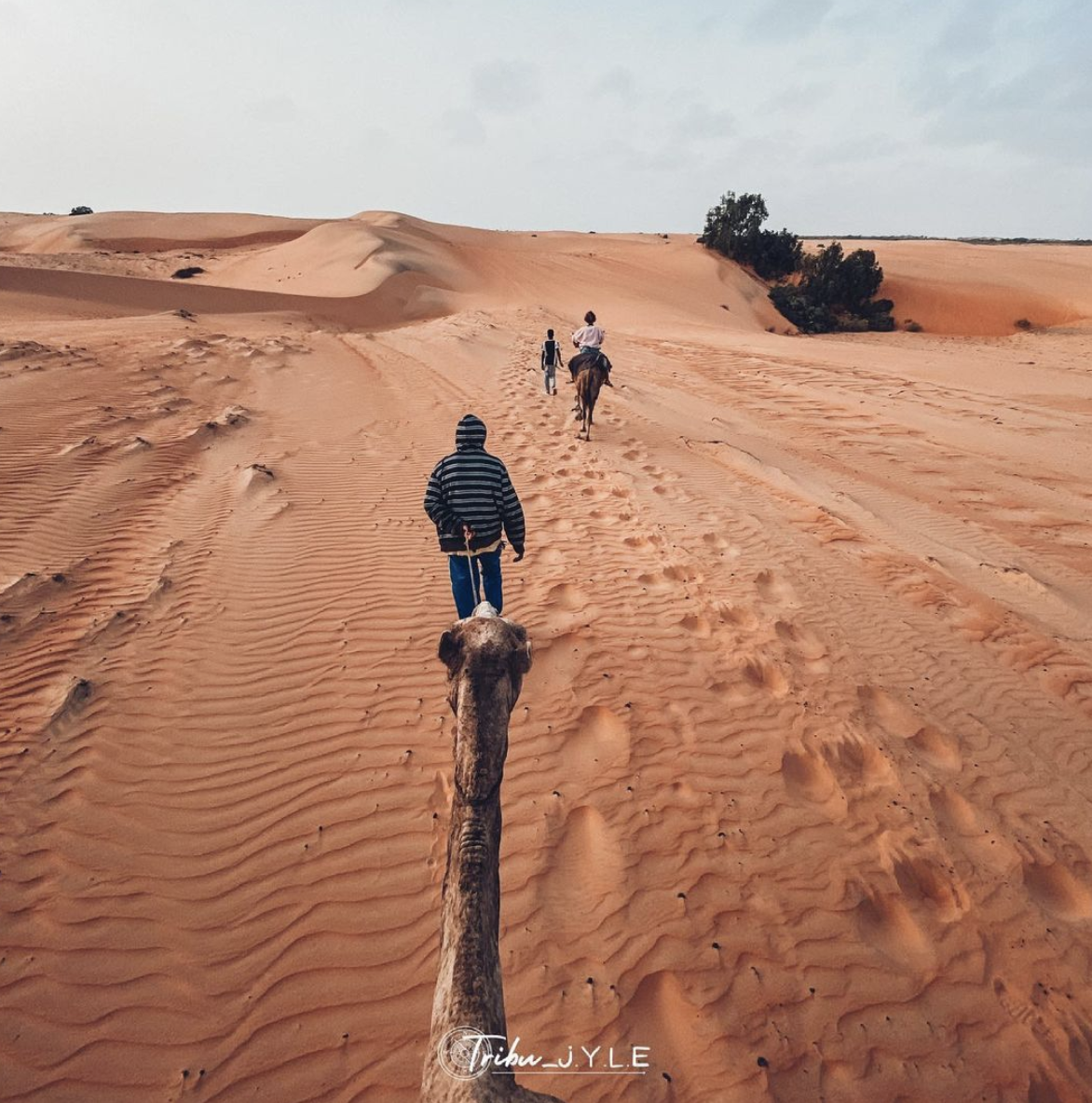 Screenshot 2021-07-09 at 14.47.48.png