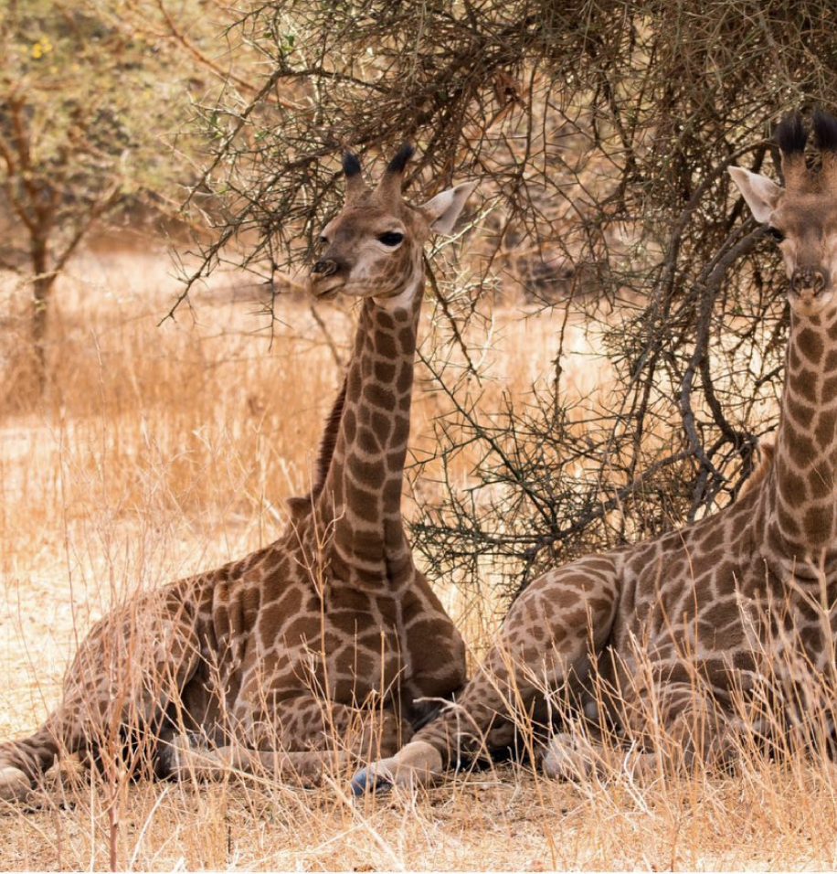 Screenshot 2021-07-09 at 14.48.17.png