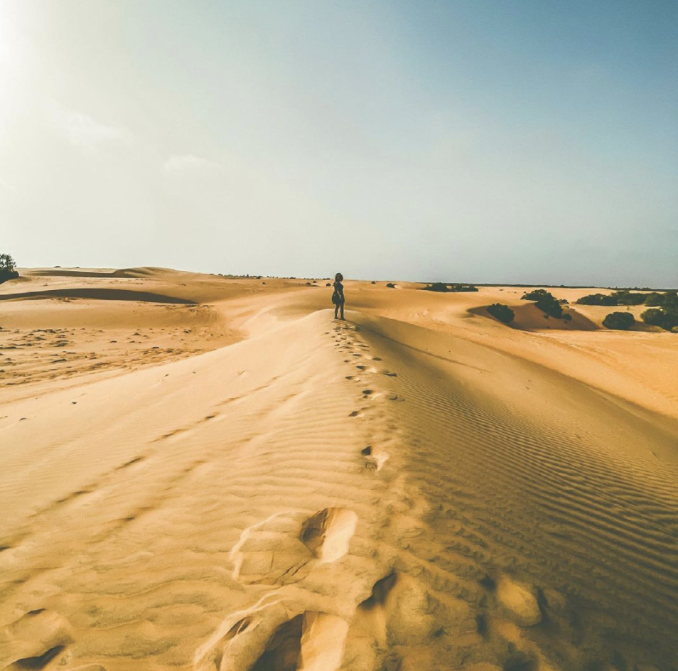 Screenshot 2021-07-09 at 14.48.27.png