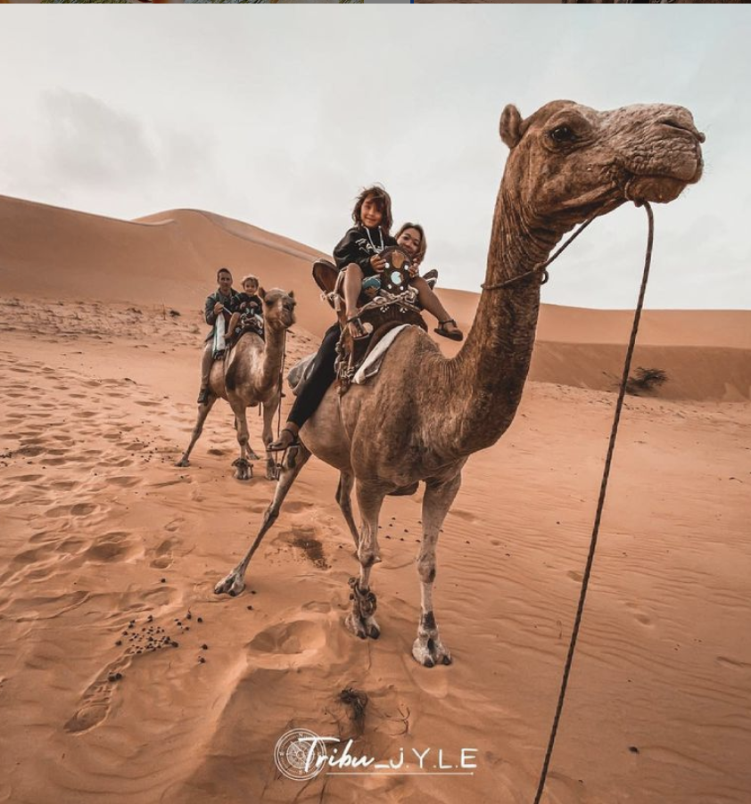 Screenshot 2021-07-09 at 14.48.58.png