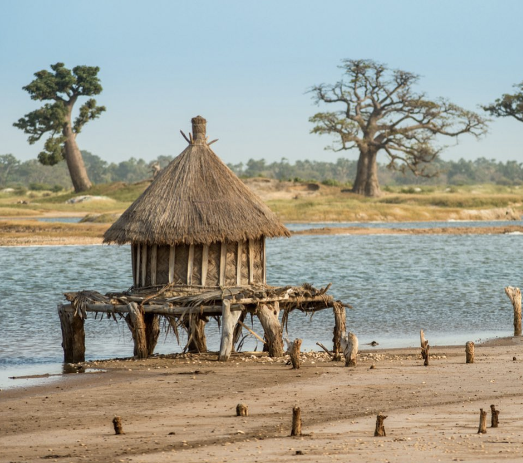 Screenshot 2021-07-09 at 14.49.18.png