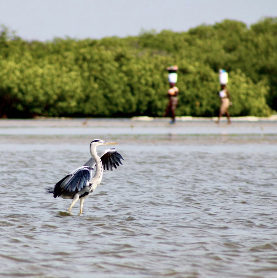 Screenshot 2021-07-09 at 15.06.47.png