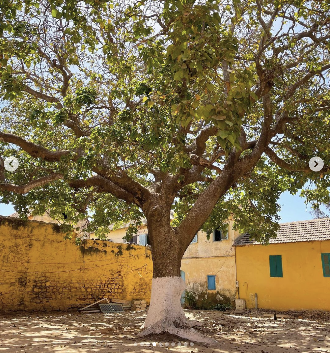 Screenshot 2021-07-09 at 15.18.03.png