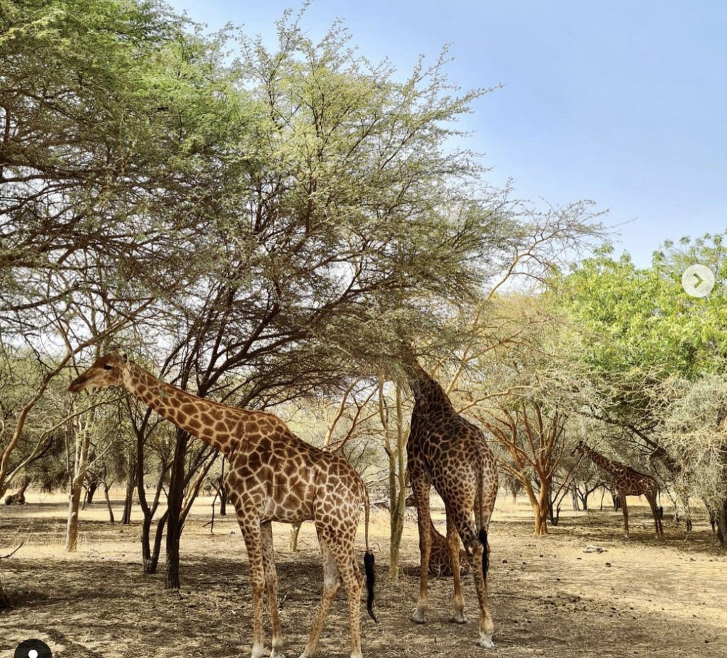 Screenshot 2021-07-09 at 15.18.31.png