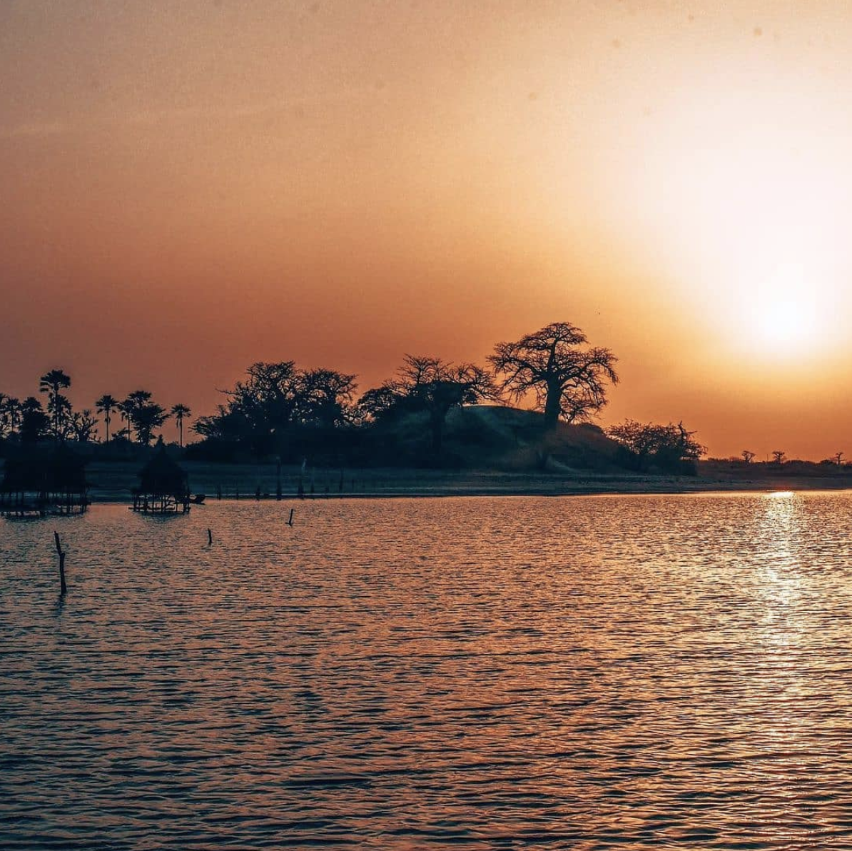 Screenshot 2021-07-09 at 15.55.48.png