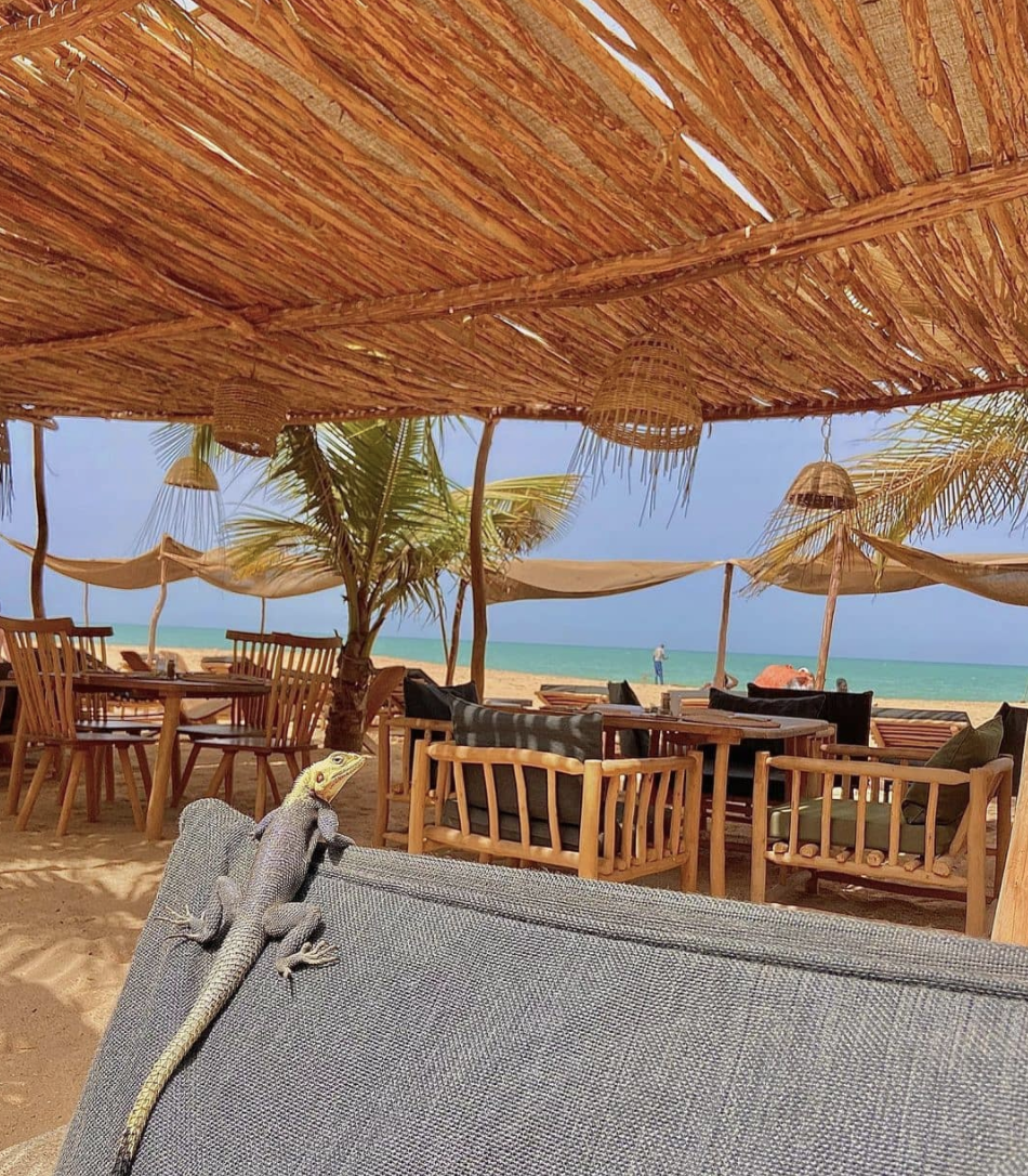 Screenshot 2021-07-09 at 15.56.09.png