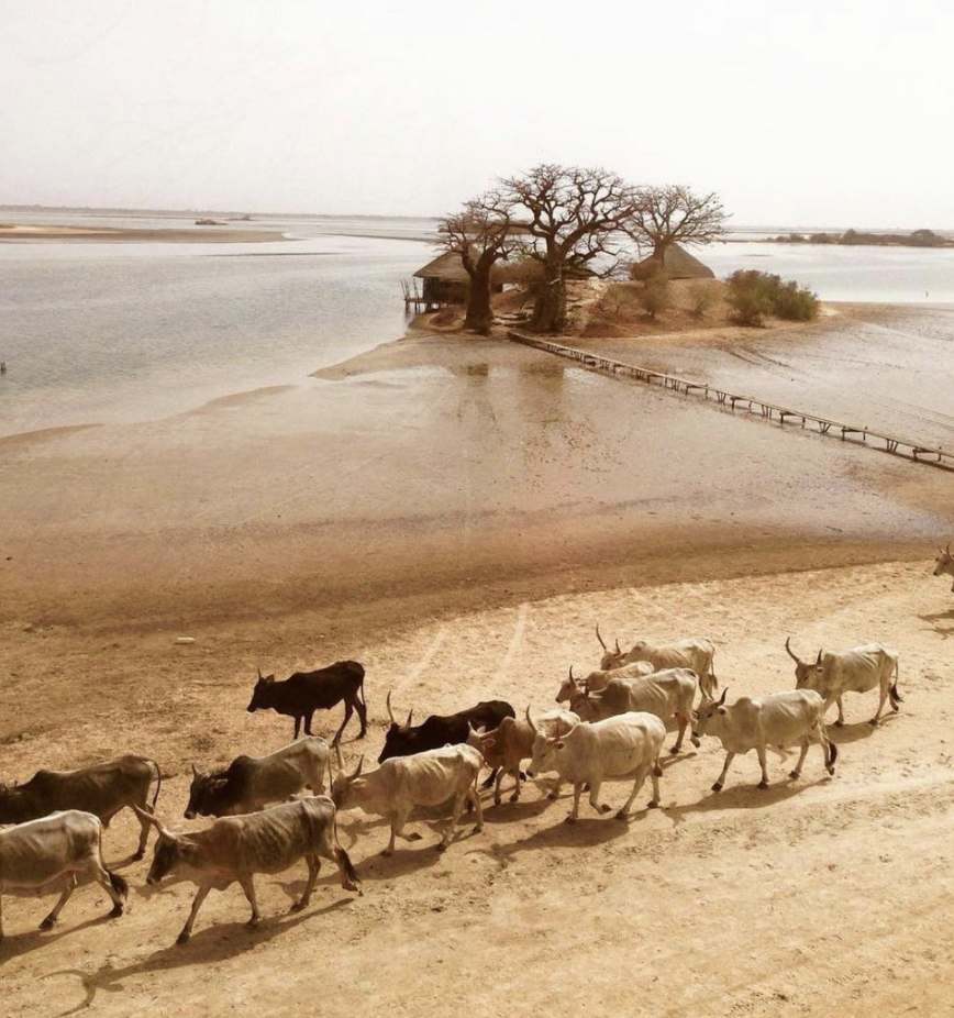 Screenshot 2021-07-11 at 21.46.39.png