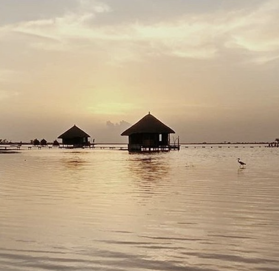 Screenshot 2021-07-11 at 21.49.31.png