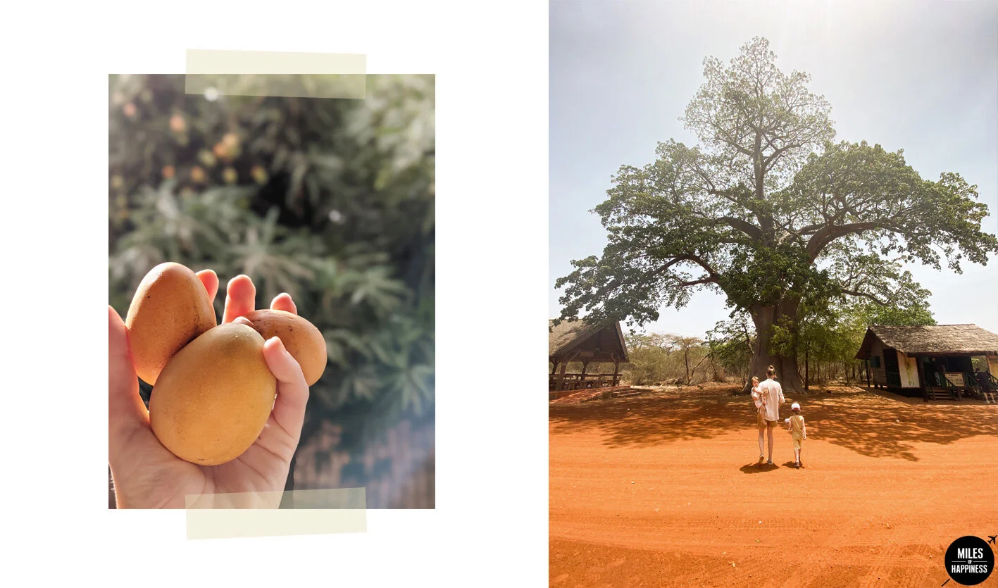 S'installer en Afrique : les choses à savoir