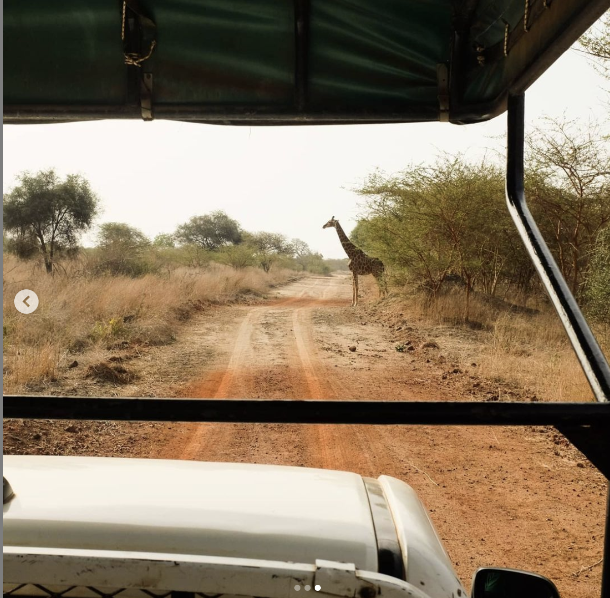 Screenshot 2021-07-16 at 22.29.05.png