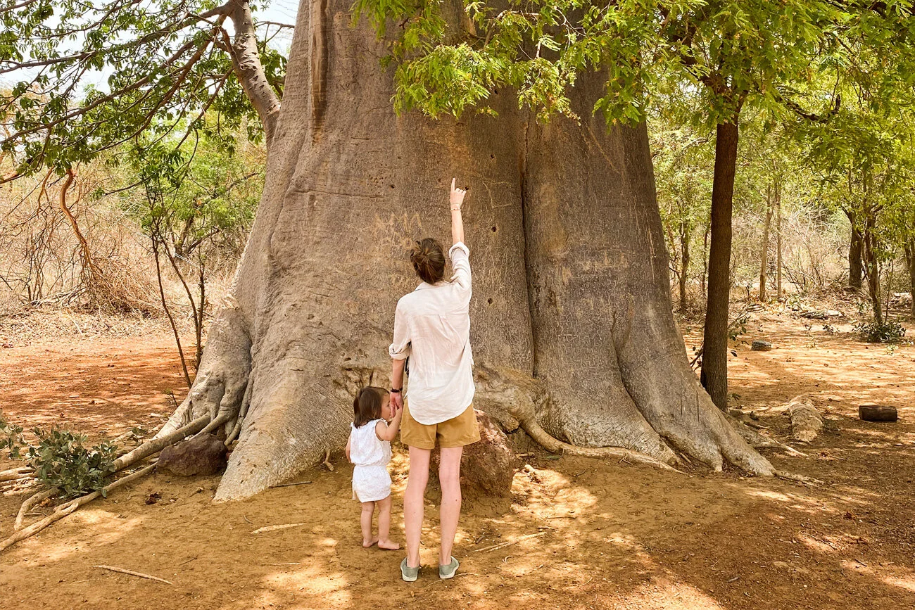   S’installer au Sénégal   Les choses à savoir   Lire l’article  