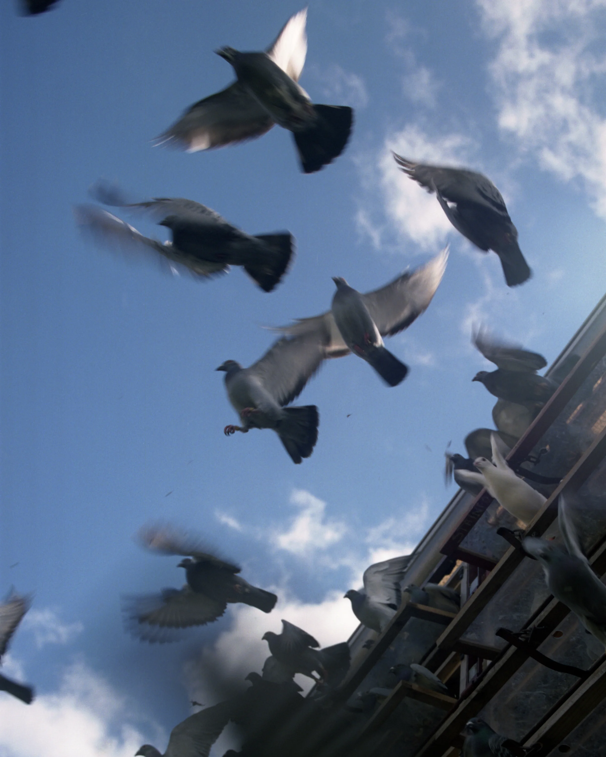 385-07(crop).jpg