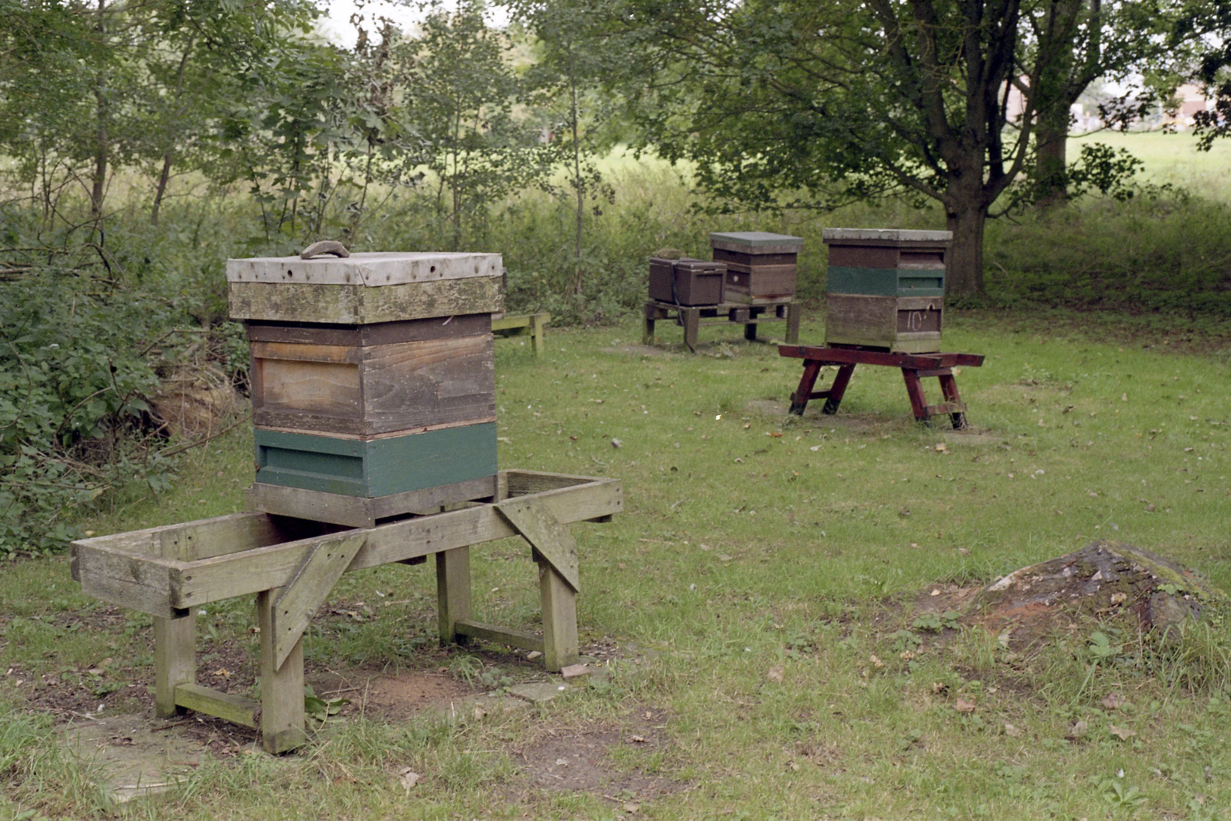 BHP BEE 1-026.jpg